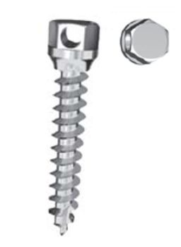 AbsoAnchor Micro Implant No Head