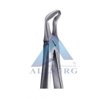 Allsurg Premium Extraction Forceps