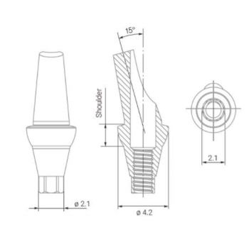 Bio Implants Angulated Anatomic Abutment