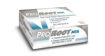 Dentsply Pro Root  MTA Root Repair Material