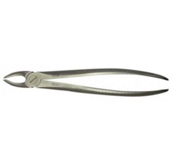 Eltee Extraction Forceps Adult