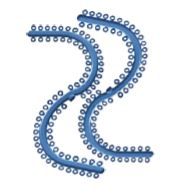 Ortho One Separators S Stick (ES-S01)