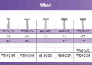 SS White G2 Diamond Burs - Wheel