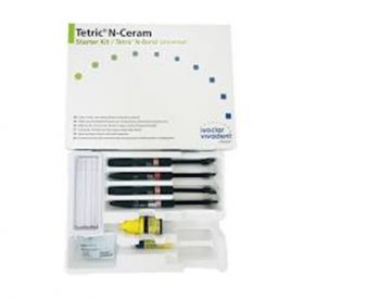 Tetric N-Flow Bulk Fill Ref. 1x2g IVB